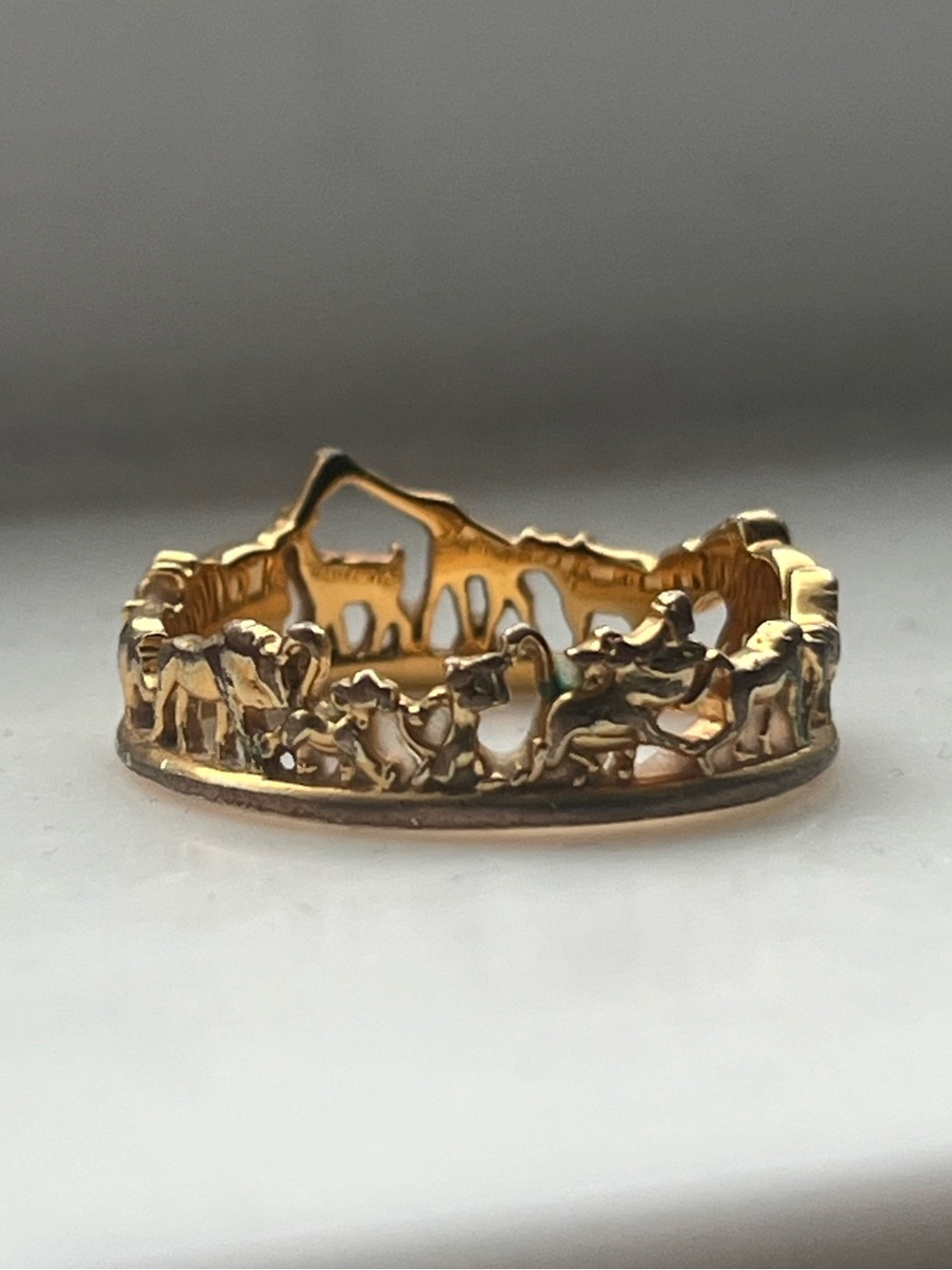 Circle of Life Silhouette Band Ring